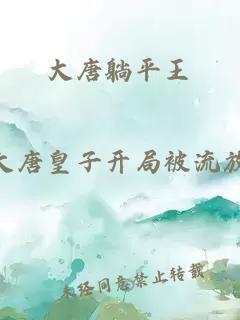 大唐躺平王